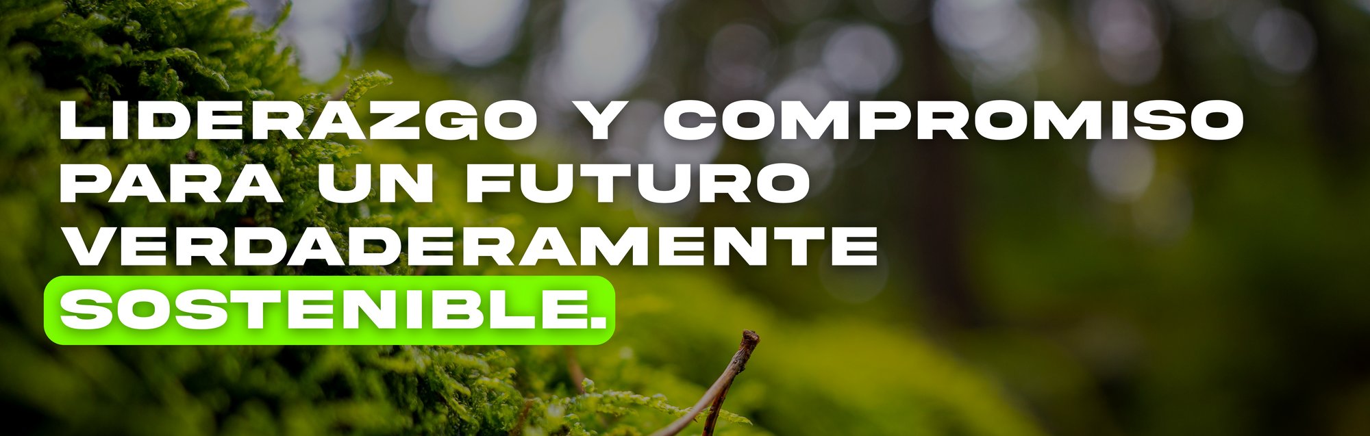 Sostenibilidad