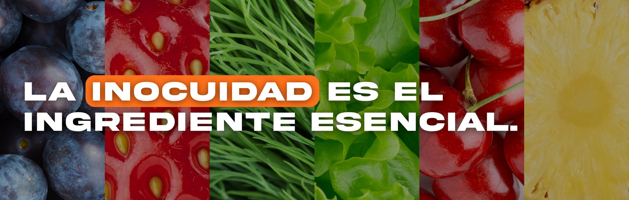 La inocuidad alimentaria, asegurando el monitoreo de la calidad.