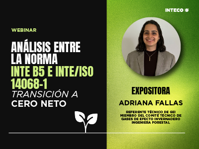 Webinar